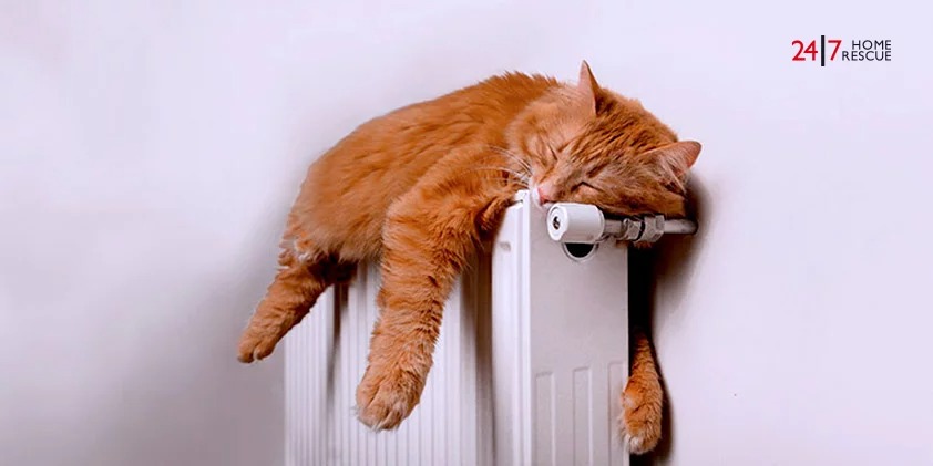 how to change a radiator valve
