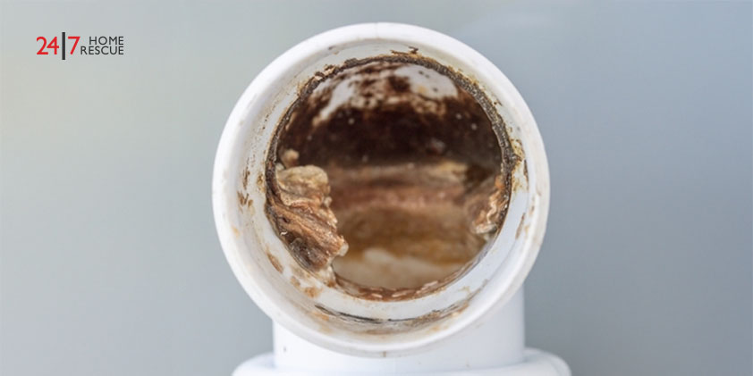 Close-up of a clogged plastic household drain pipe blocked by dirt and debris